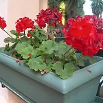 Aparthotel Karmar Dassia (Corfu)